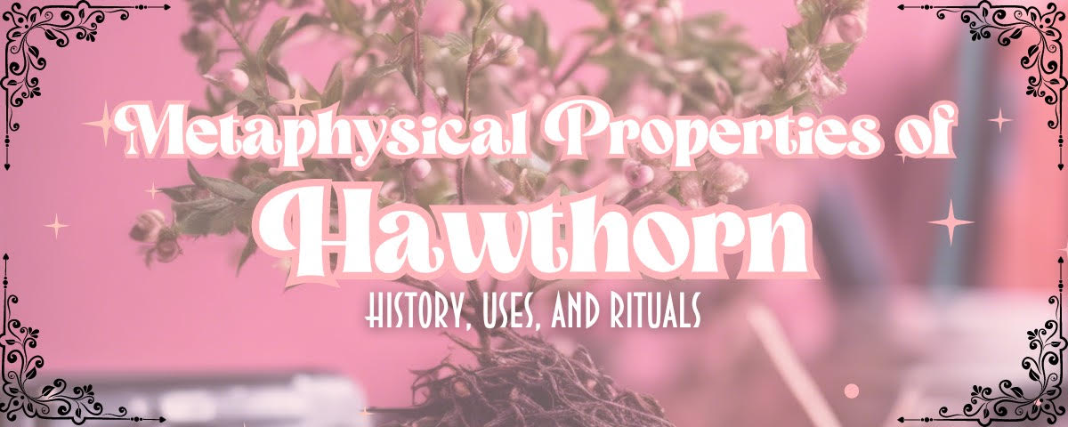 Hawthorn, magical, witchcraft